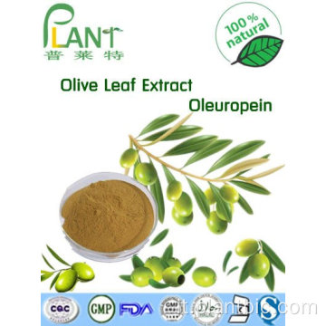 HPLC Estratto di foglie di olivo Oleuropeina 20% 98%
